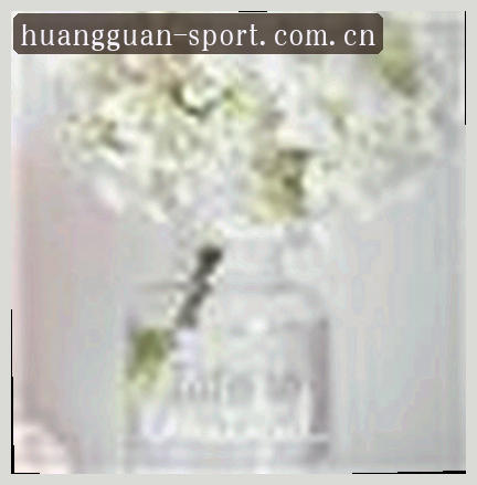 吴迪